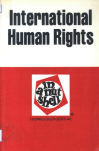 International Human Rights in a Nutshell.