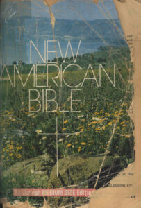 New American Bible.